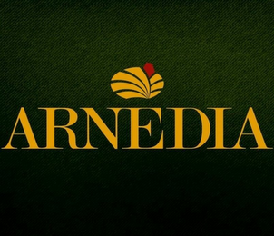 ARNEDIA logo
