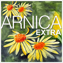 ARNICA EXTRA logo