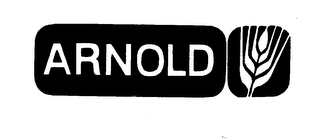 ARNOLD logo