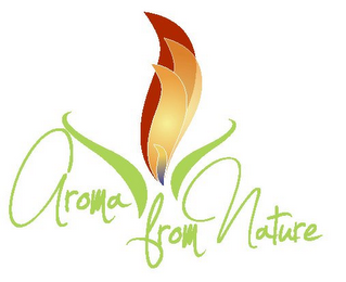 AROMA FROM NATURE logo