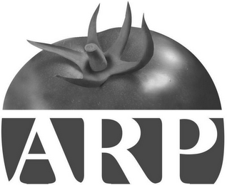 ARP logo