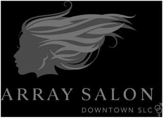 ARRAY SALON DOWNTOWN SLC logo