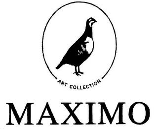 ART COLLECTION MAXIMO logo