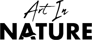 ART IN NATURE logo