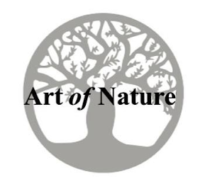 ART OF NATURE logo