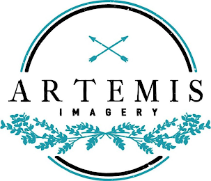 ARTEMIS IMAGERY logo