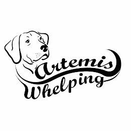 ARTEMIS WHELPING logo