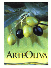 ARTEOLIVA logo