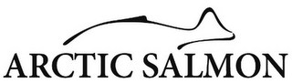 ARTIC SALMON logo