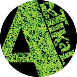 ARTIKAL logo