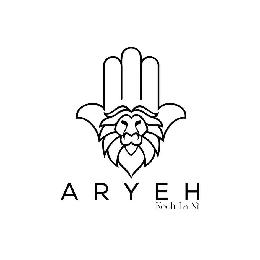 ARYEH KOCH LA NI logo