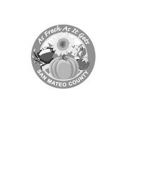 AS FRESH AS IT GETS SAN MATEO COUNTY logo