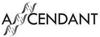 ASCENDANT logo