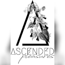 ASCENDED PLEASURES logo