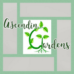 ASCENDINGARDENS logo