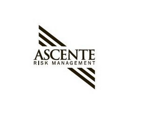 ASCENTE RISK MANAGEMENT logo