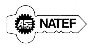 ASE CERTIFIED NATEF logo