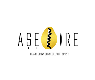 ASE IRE LEARN.GROW.CONNECT... WITH SPIRIT! logo