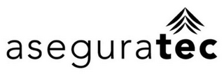 ASEGURATEC logo
