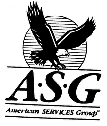 A.S.G AMERICAN SERVICES GROUP logo