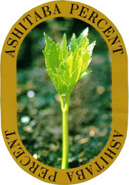 ASHITABA PERCENT logo