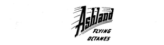ASHLAND FLYING OCTANES logo