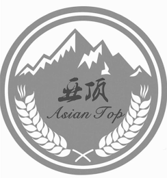 ASIAN TOP logo