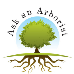 ASK AN ARBORIST logo
