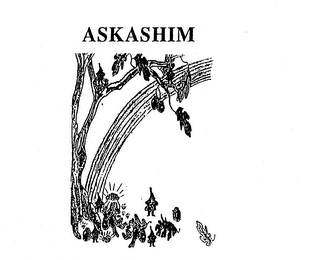 ASKASHIM logo