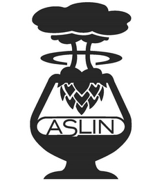 ASLIN logo