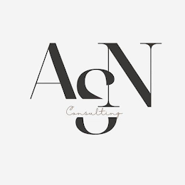 ASN CONSULTING logo