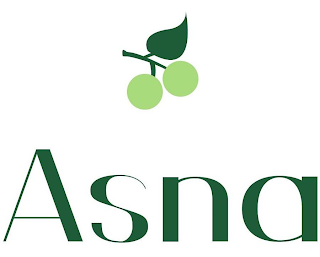ASNA logo