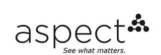 ASPECT SEE WHAT MATTERS. logo