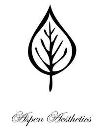 ASPEN AESTHETICS logo