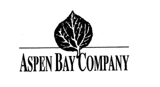 ASPEN BAY COMPANY logo