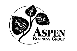 ASPEN BUSINESS GROUP logo