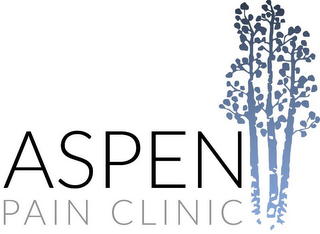 ASPEN PAIN CLINIC logo