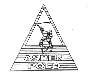 ASPEN POLO logo