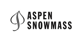ASPEN SNOWMASS logo