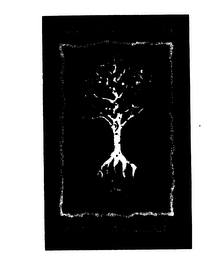 ASPEN TEA COMPANY logo
