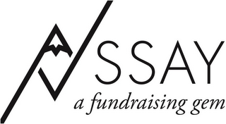 ASSAY A FUNDRAISING GEM logo