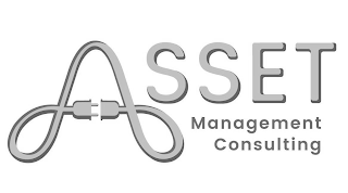 ASSET MANAGEMENT CONSULTING logo