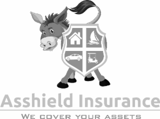 ASSHIELD INSURANCE WE COVER YOUR ASSETS logo