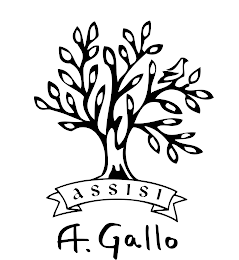 ASSISI - A. GALLO logo
