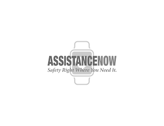 ASSISTANCENOW SAFETY RIGHT WHERE YOU NEED IT. logo
