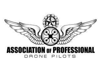 ASSOCIATION OF PROFESSIONAL DRONE PILOTS logo