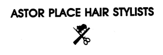 ASTOR PLACE HAIR STYLISTS logo