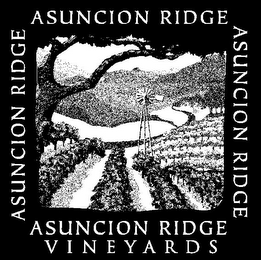 ASUNCION RIDGE ASUNCION RIDGE ASUNCION RIDGE ASUNCION RIDGE VINEYARDS logo