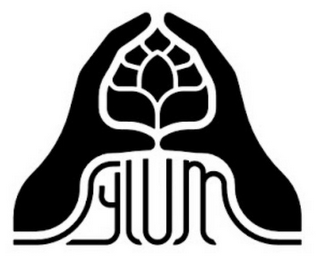 ASYLUM logo