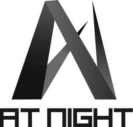 AT NIGHT logo